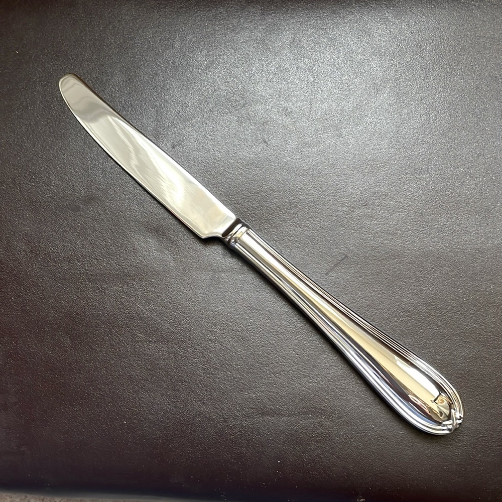 ☘️ NEW Ashbridge Stainless Premium quality solid dinner knife by LENOX 9.25”Long
